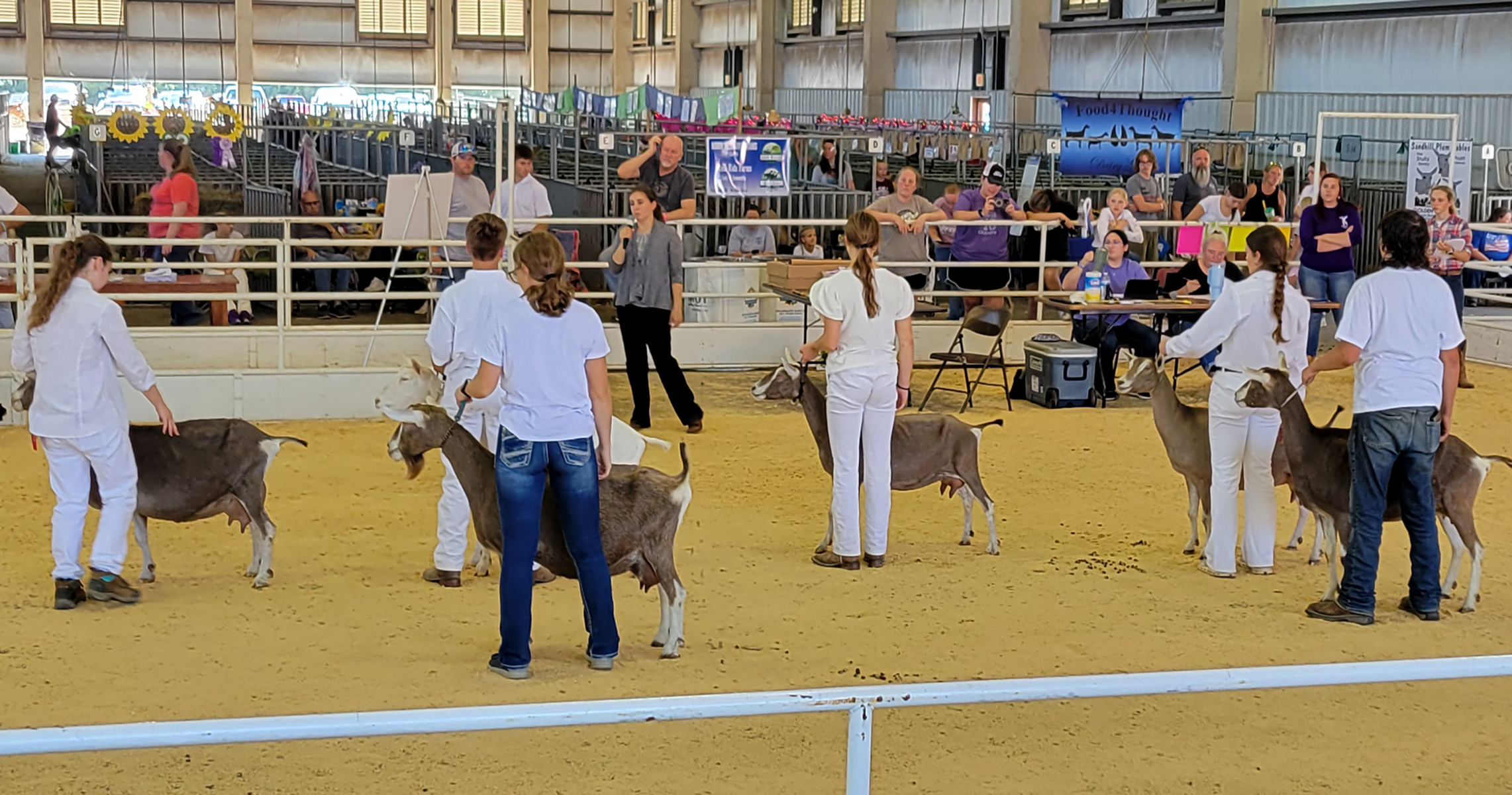 Life With Goats: The Goat Show